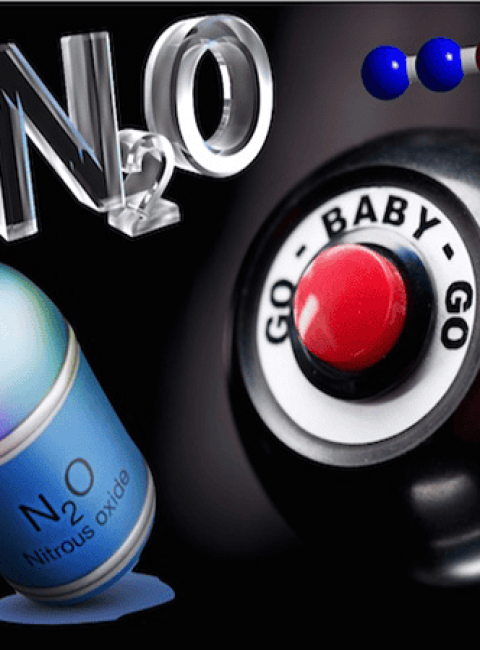 N2O