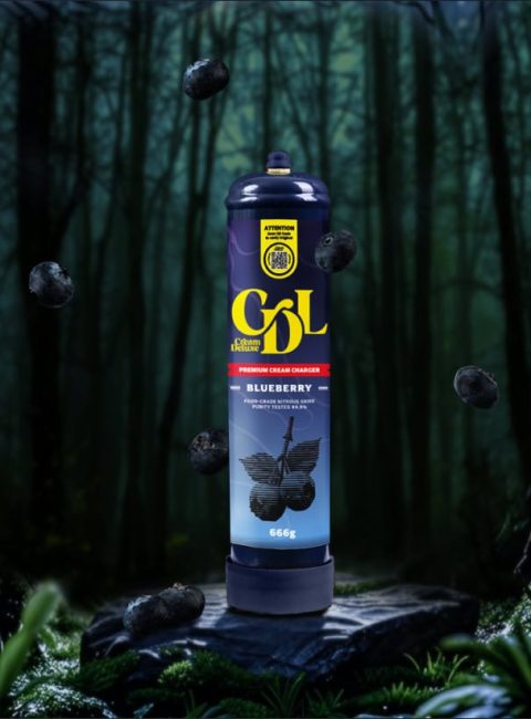 blueberry-regular-bottle-1-cover